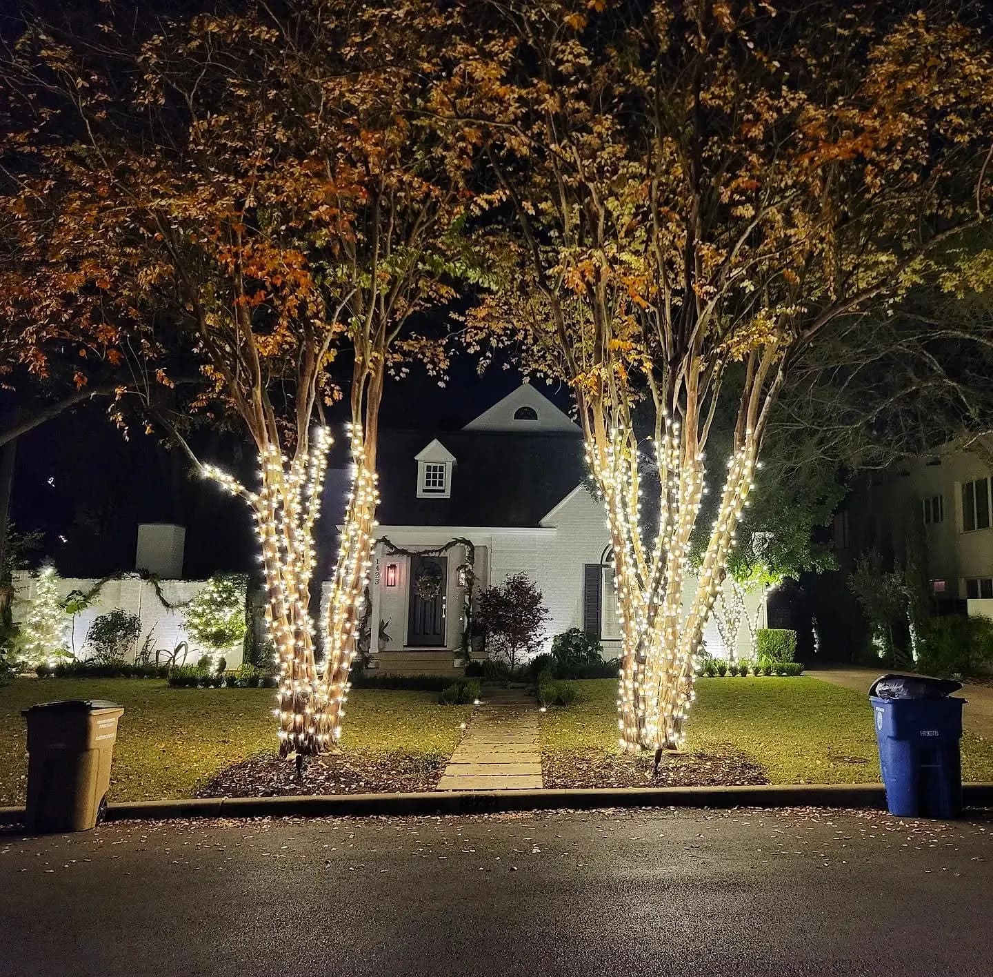 Two live oaks wrapped trunk to branch in warm white lights in front of a home